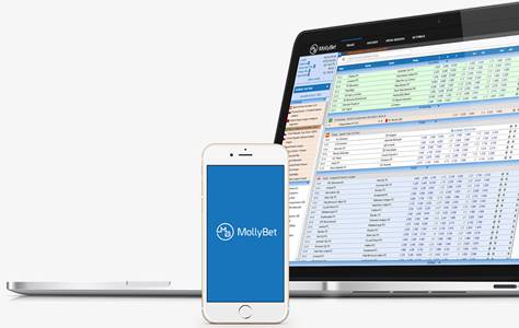 Visualizações do software em diferentes plataformas